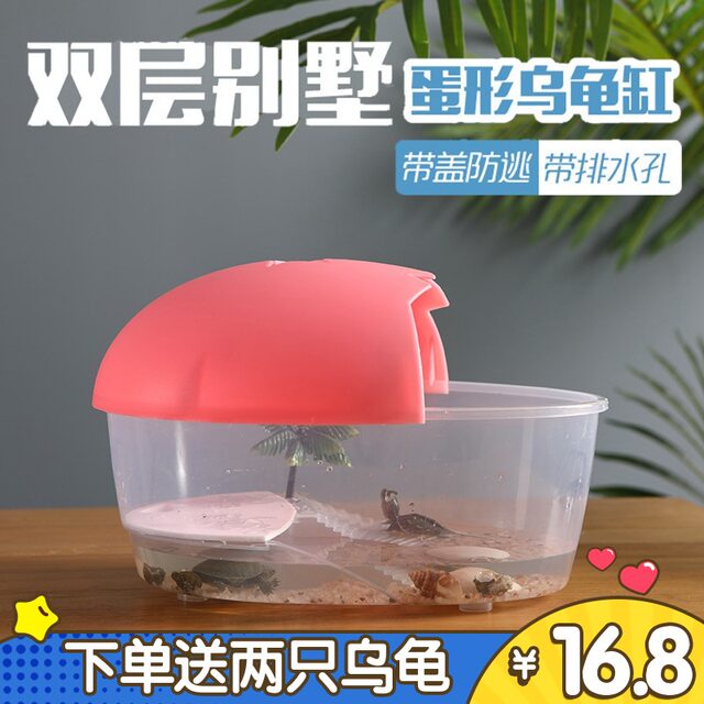 Turtle tank with a turtle turtle breeding box with a turtle breeding ...