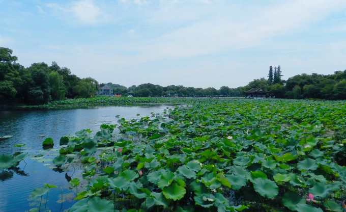 中国最休闲城市排名出炉，杭州凭什么上榜21