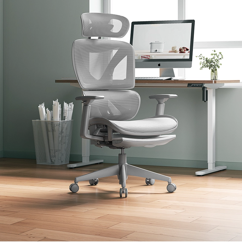 MUA GHẾ CÔNG THÁI HỌC Ở VĨNH LONG – ĐA DẠNG MẪU MÃ, GIÁ CẠNH TRANH 2 Mua Ghế Công Thái Học ở Vĩnh Long