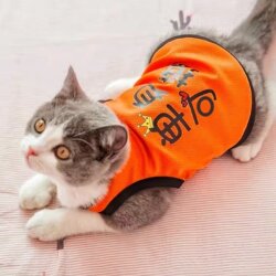 Cat Clothes for Summer, Anti-Shedding, Summer Dog Vest, Breathable, Cute Pet Clothes for Cats, Blue Cats, Kittens