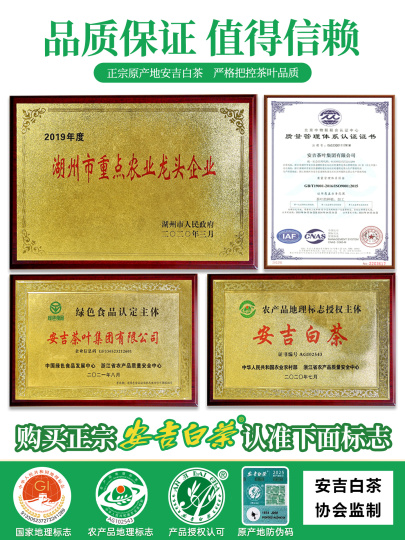 安吉白茶 - 50g ブティック春茶 - 浙江省