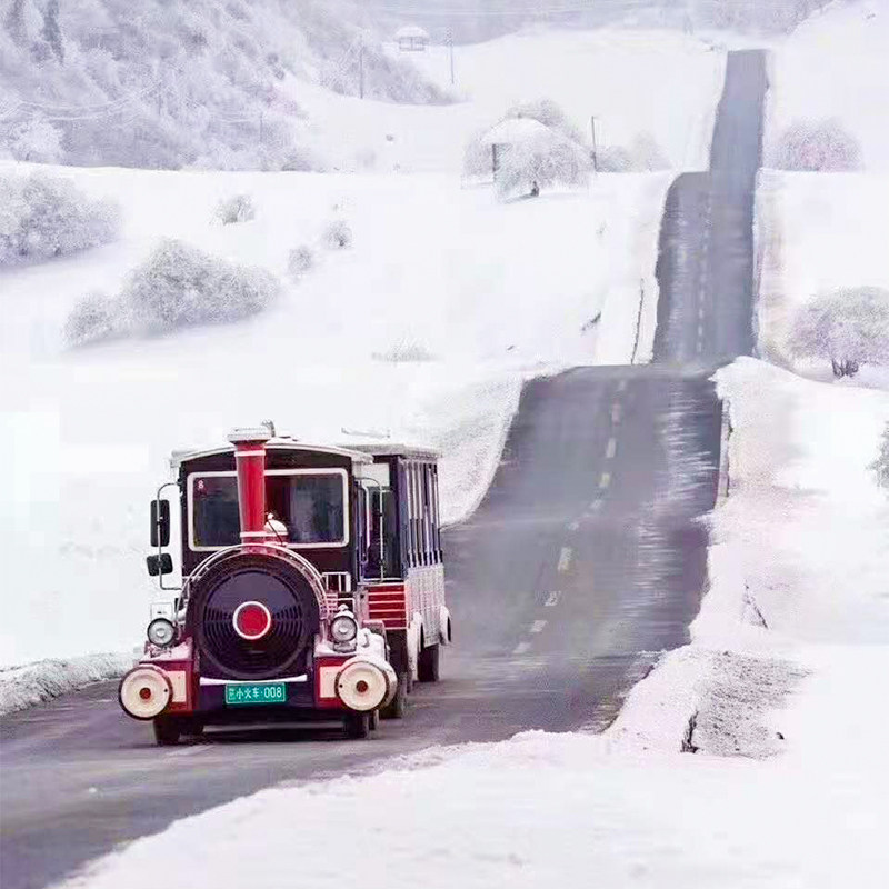 重庆金佛山仙女山南天湖一日游滑雪玩雪纯玩1日游跟团游周边游