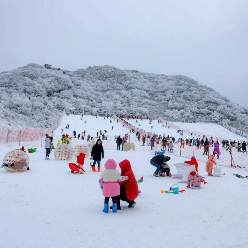 重庆金佛山仙女山南天湖一日游滑雪玩雪纯玩1日游跟团游周边游