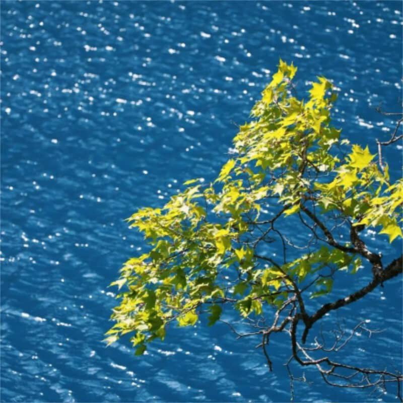 高铁8人小团 成都动车九寨沟黄龙纯玩三日游 可包车私家团 含门票