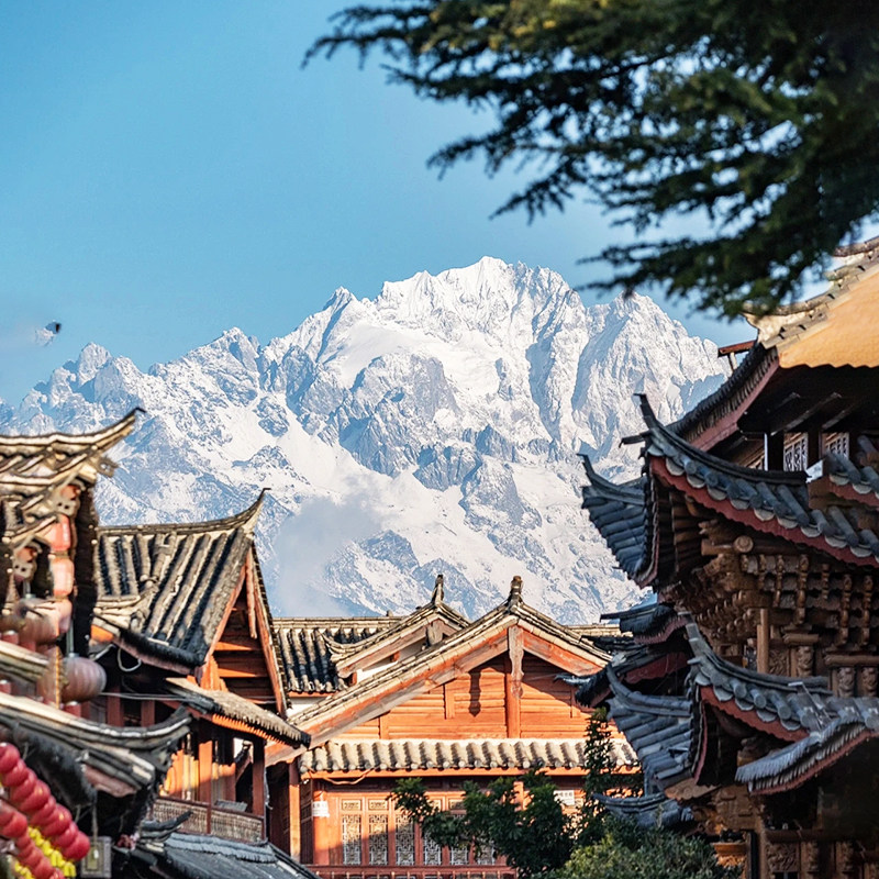 五星希尔顿 包含机票 云南旅游昆明丽江大理玉龙雪山6天5晚跟团游