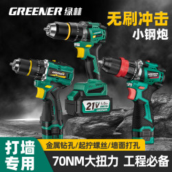 Green Forest Brushless Impact Electric Drill, Small Household Drill, Lithium Battery Multi-Function Rechargeable Electric Drill for Wall Drilling, High Power