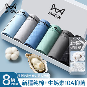 猫人男士内裤纯棉男生2025新款生蚝唤醒野兽抗菌四角平角短裤大码