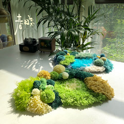 Chunxiao Handmade DIY Moss Coaster Weaving Material Kit for Beginners with No Experience, Creative and Warm Gift, Desktop Decoration