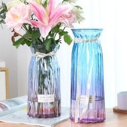[Extra-Large Two-Piece Set] Glass Vase, Transparent Water Vase for Growing Lilies and Lucky Bamboo, Living Room Flower Arrangement Decoration