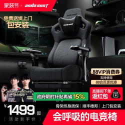 Andester Kirin Throne 2.0 Pro Gaming Chair Air Ergonomic Chair Fabric Home Chair Computer Chair