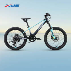 xds Xidesheng 2025 new magnesium knight magnesium alloy mountain bike youth and children's bicycle