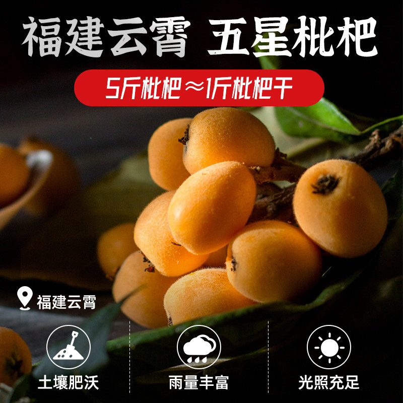 Banya Sister Dried Bamboo Salt Loquat - 500g - Fujian Yunxiao Speciality
