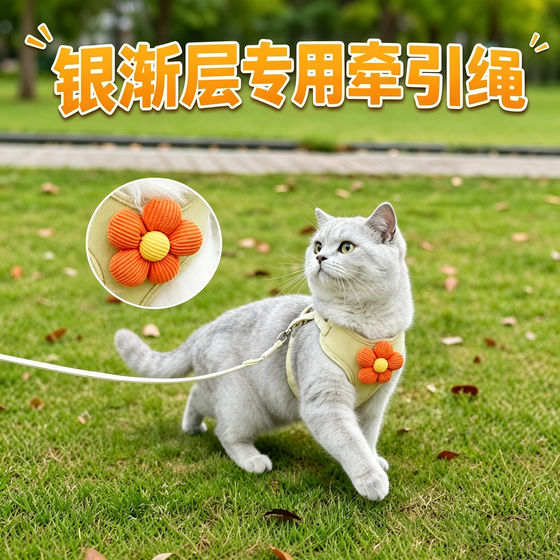 
Silver gradient layer special kitten traction rope cat pet kitten anti-break-away harness strap cat rope harness