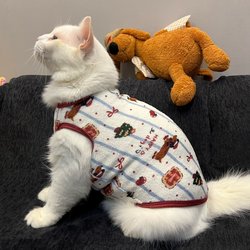 Christmas Dachshund Pet Cat Clothes, Winter Fleece-Lined Warm Sleeveless Vest-Style Anti-Shedding, Anti-Cold and Anti-Freeze