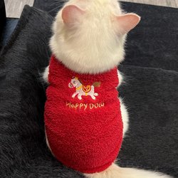 New Year's Clothing for Pets in the Year of the Horse, Winter Fleece-Lined Warm Sleeveless Vest for Cats, Anti-Shedding, Cold-Proof and Frost-Proof New Style