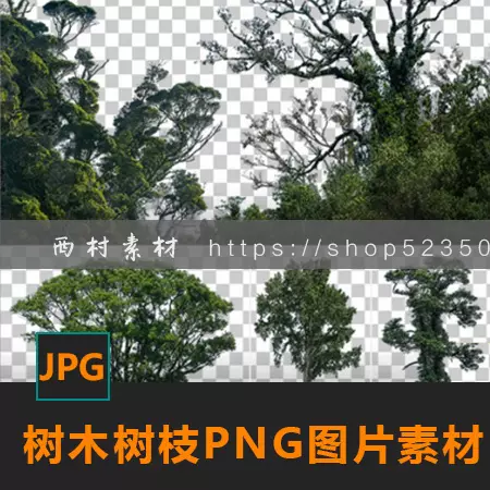 免抠png大树木树枝cg绘画参考ps场景合成素材matte Painting