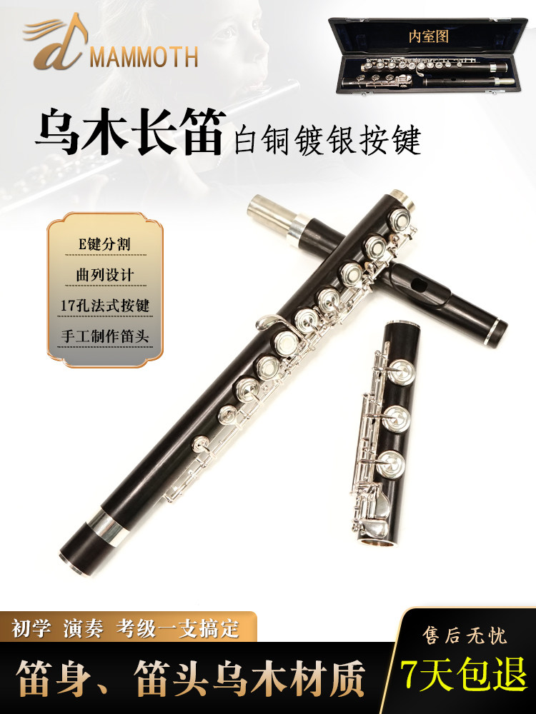 Cキーフルート16オープンホールシルバーメッキEキー木管バスフルート