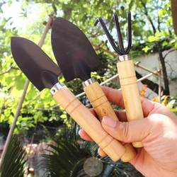 Three-Piece Set of Household Potted Plant Tools: Small Shovel for Planting and Cultivating Flowers, Soil Loosening Shovel, Gardening Planting Tools for Succulents