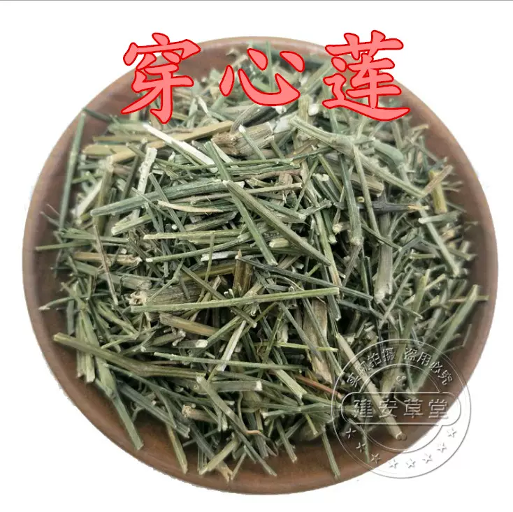 穿心莲中药材 500g 野生干穿心莲 新货 中药材穿心莲 2斤包邮-Taobao