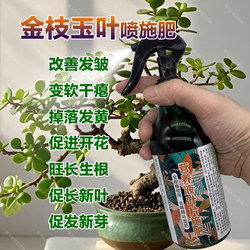 Special fertilizer for golden branches and jade leaves, succulent plant nutrient solution, strong blooming, long roots, new shoots and new leaf fertilizer
