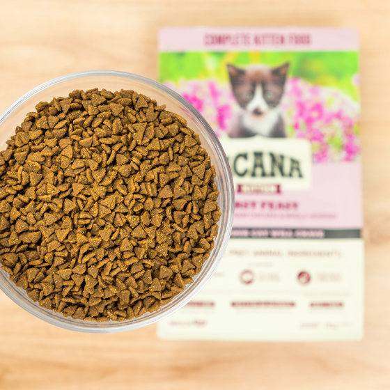 ACANA's first feast of kitten food is a trial pack of American-imported fattening nutritional staple food