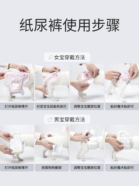Curated visual reference: Pet Dog Diapers Special Diapers For Male Dogs Polite Belts Photo Inspiration