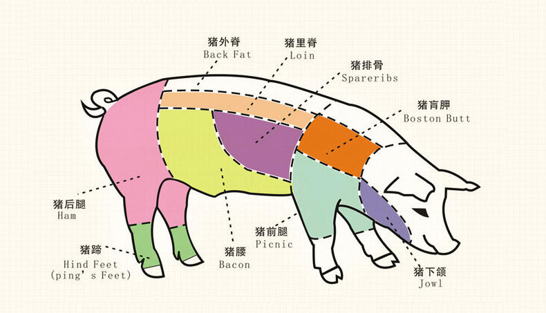 懒人下饭好肉松,美食搭档(图3) 懒人下饭好肉松,美食搭档(图3)
