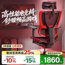 Baoyou Youxiongying I9 High-Performance Gaming Chair, Comfortable for Long Periods of Sitting, Computer Chair, Office Chair, Ergonomic Gaming Chair