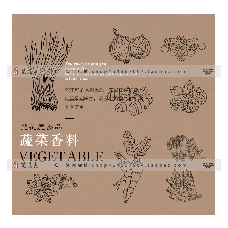 手繪線描香料八角胡椒番紅花姜茴香茅草eps矢量包裝菜單素材e143 手繪線描香料八角胡椒番紅花姜茴香茅草eps矢量包裝菜單素材e143