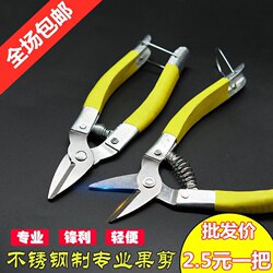 Stainless Steel Fruit Picking Shears, Citrus Shears, Round Head Shears, Fruit Shears, Citrus Shears, Flat Head Straight Head Fruit Picking Scissors, Fruit Shears