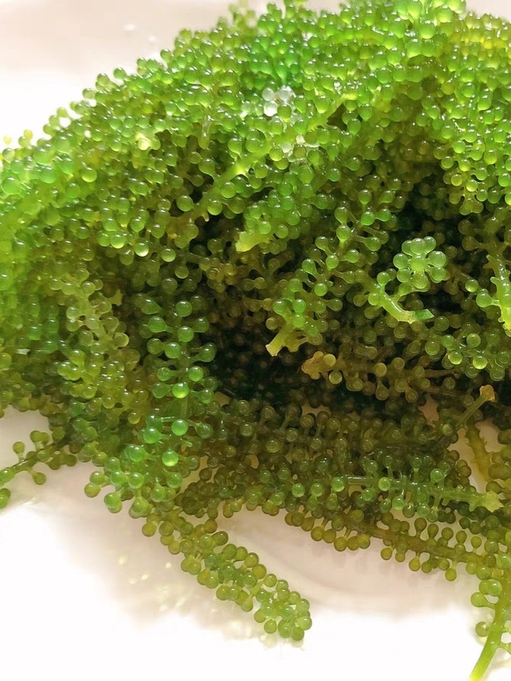 珍尚坊  鱼子酱海藻