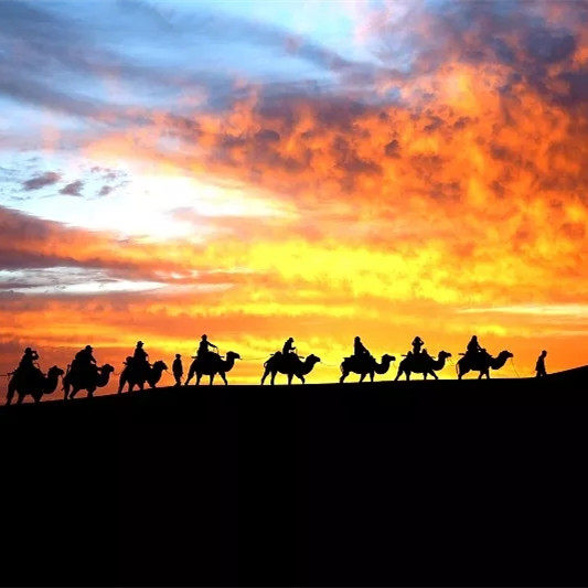 私家团甘肃河西走廊6天【野奢东驿敦煌+山丹军马场草原木屋】