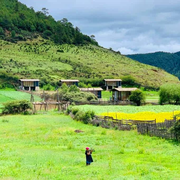 私家团香格里拉雨崩大理6天【梅里既下山+简约美学洱海璞素】
