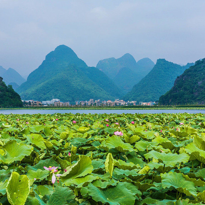 云南普者黑秘境5天【住高奢Ins设计风美憬阁+弥勒湖畔温泉别墅】