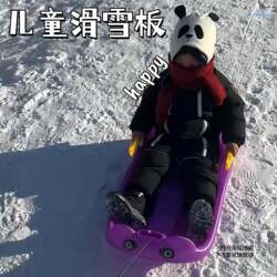 Children's Snowboards, Thickened Double Snowboards, Grassboards, Sandboards, Ice Skates, Sleds, and Snowmobiles