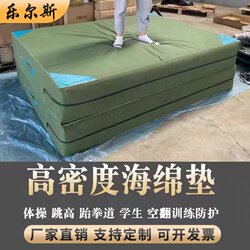 Acrobatic Rock Climbing Training Foam Mat, High Jump Dance Folding Thickened Taekwondo Special Mat, Martial Arts Gymnastics Mat