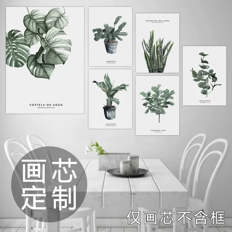 虎尾兰竹芋叶兰龟背叶琴叶榕扇形棕榈树植物装饰