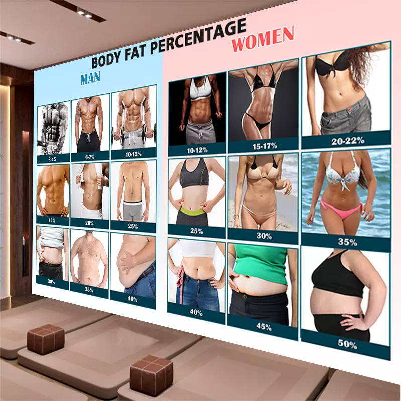 身体脂肪百分比例参考图壁画bmi体脂率对照表墙纸健身房瑜伽