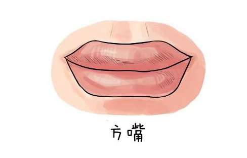 四方嘴的唇形上下的薄厚都一样,都会比较偏厚,所以这类型嘴唇的人很