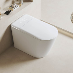 Kcci's New Five-Shield Light Smart Toilet All-In-One Fully Automatic Electric Toilet with Water Tank Built-In Foam Shield