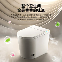 52 Household Small-Sized Smart Toilet Instant Heating Fully Automatic Sensor Kick Flip Cover Built-In Foam Shield Sterilization Aromatherapy