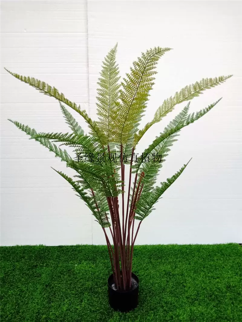 仿真羽葉桫欏樹大型盆景仿真植物沙羅樹盆栽波斯草樹蕨