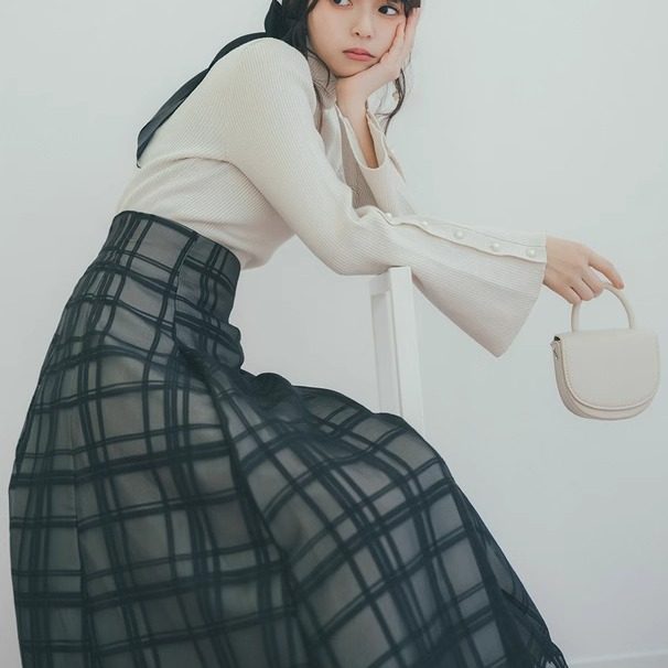 Halway skirt plaid transparent horn skirt [TU1082]
