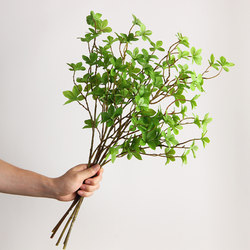 Nordic Artificial Green Plants, Fake Flowers, Japanese Hanging Bell Single-Stem Long Horse-Drunken Wood Leaves, Fake Branches, Living Room Decorative Plants, Floor-Standing