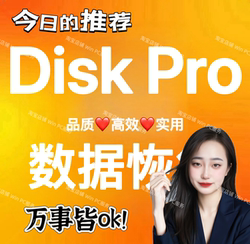 2026 New Version Disk Disk Enterprise Version Professional Version 6.1 Data Recovery Registration Code Activation Code Disk Loss