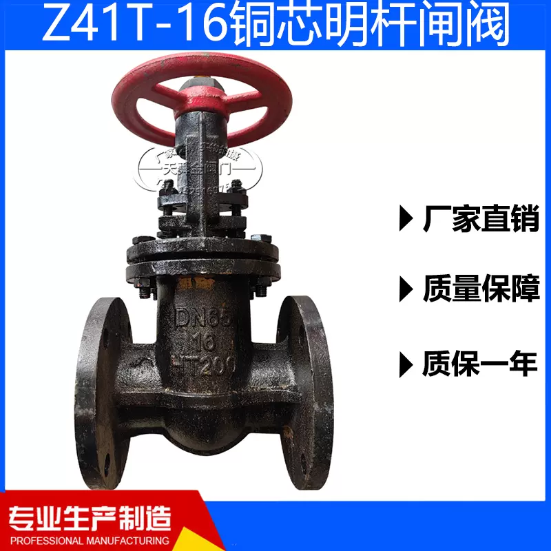 Z41T-16铜芯明杆闸阀铸铁法兰闸板阀污水阀铜杆DN100-Taobao