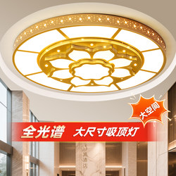 2026 Round Living Room Lamp Modern Simple and Elegant Hotel Lobby Conference Room Led Ceiling Gold Light Fixture 2m