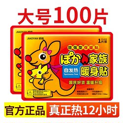 Self-Heating Warm Patches for Women, Winter Thermal Patches for Keeping Warm, Regulating Body Temperature, and Relieving Cold in the Uterus and Abdomen