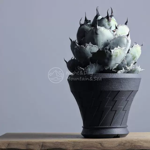 现货H&O 夜光蓄光花盆H&O Plants pot TYPE-001 块根花盆-Taobao