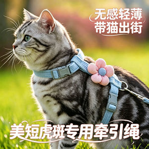 
American short tabby special kitten traction rope cat pet kitten anti-break-away outdoor harness adjustable chest harness